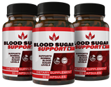 Blood Sugar Support+